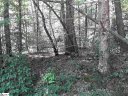 121 Willys Creek Circle sold home in Pickens, SC