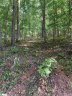 326 Teakwood Drive Lot 65 sold home in Easley, SC