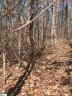 215 Luberon Lane sold home in Travelers Rest, SC
