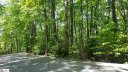 324 Rhododendron sold home in Cleveland, SC