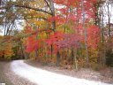 200 Cabernet Way sold home in Travelers Rest, SC