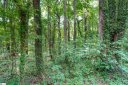 0 Wildflower Lane sold home in Travelers Rest, SC