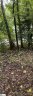 1007 Powderhorn Road sold home in Simpsonville, SC
