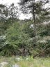 382 Copper Creek Circle sold home in Inman, SC