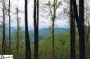 436 Bella Vista Court sold home in Zirconia, SC
