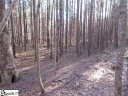 5 Matthews Creek Lane sold home in Cleveland, SC