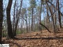 111 Oolenoy Court sold home in Pickens, SC