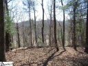 115 Oolenoy Court sold home in Pickens, SC
