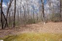 272 Delphinium Court sold home in Cleveland, SC