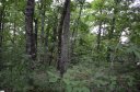 00 Altamont Forest Drive LOT 11 sold home in Greenville, SC