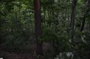 00 Altamont Forest Drive Lot 016 sold home in Greenville, SC
