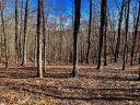 141 Cherokee Rose Trail sold home in Marietta, SC