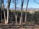 519 Hunting Hollow Drive sold home in Salem, SC