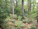 401 Panther Mountain Road sold home in Zirconia, SC