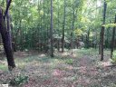 200 Darting Sparrow Way sold home in Marietta, SC