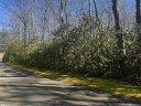 108 Hemlock Trail Lot 180 sold home in Cleveland, SC