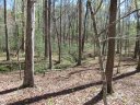 159 Shepherd Springs Drive sold home in Cleveland, SC