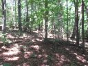 221 River Bluff Road sold home in Cleveland, SC