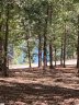 335 Long Cove Trail sold home in Salem, SC