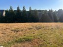 247 Tuscan Ridge T Trail sold home in Inman, SC