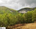 293 Foggy Cut Lane sold home in Landrum, SC