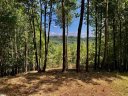 501 Blue Bonnet Trail sold home in Marietta, SC