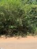 405 Lake Circle Drive sold home in Greenville, SC