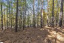 Lot 202 Shorewinds Court sold home in Seneca, SC