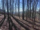 44 Wild Ginger Road sold home in Landrum, SC
