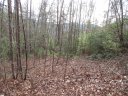 116 Fireside Lane sold home in Pickens, SC