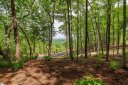 167 Cherokee Rose Trail sold home in Marietta, SC