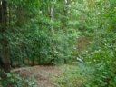 330 Country Oak Rd sold home in Chesnee, SC
