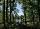 0 Butler Road sold home in Lyman, SC