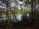 149 Quitman Pt sold home in Chesnee, SC