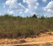 272 Thorncrest Drive sold home in Pauline, SC