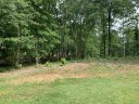 155 Cane Creek Way (Lot 15) sold home in Campobello, SC