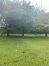 100 Plateau St sold home in Moore, SC