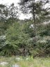 382 Copper Creek Circle sold home in Inman, SC