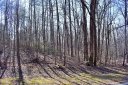 35 Granite Knob Way sold home in Landrum, SC