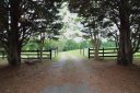 1920 Landrum Mill Road sold home in Campobello, SC