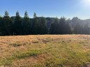 247 Tuscan Ridge Trail sold home in Inman, SC