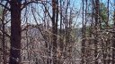 320 Foggy Cut Lane sold home in Landrum, SC
