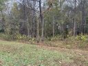 217 Winding Oaks Drive sold home in Seneca, SC