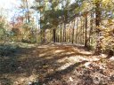 310 Sunset Ridge Way sold home in Salem, SC