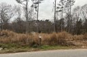 Lot39 Kingsboro Road sold home in Anderson, SC