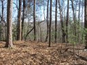 111 Oolenoy Court sold home in Pickens, SC