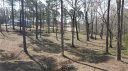 00 Little Bay Lane sold home in Seneca, SC