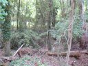 803 Canterbury Road sold home in Anderson, SC