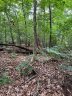 0 Arrow Lane sold home in Lavonia, SC