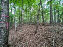 Lot 30 Sourwood Bench Court sold home in Salem, SC